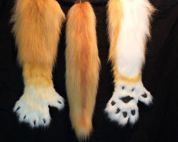 Dingo realistic fursuit head 5