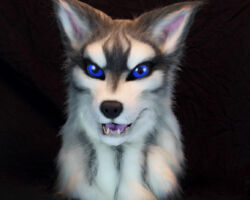 Grey wolf realistic fursuit head 7