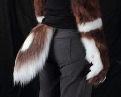 Fantasy canine realistic fursuit partial 7