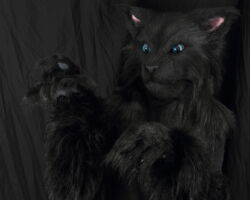 Black cat realistic fursuit partial 1