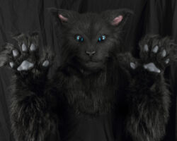 Black cat realistic fursuit partial 2