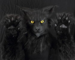 Black cat realistic fursuit partial 5