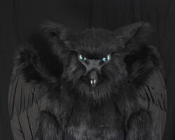 Black gryphon realistic fursuit partial with wings 2