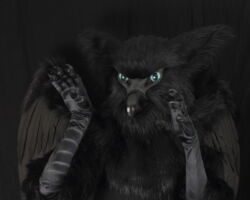Black gryphon realistic fursuit partial with wings 3