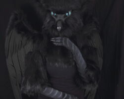 Black gryphon realistic fursuit partial with wings 1
