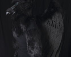 Black gryphon realistic fursuit partial with wings 4